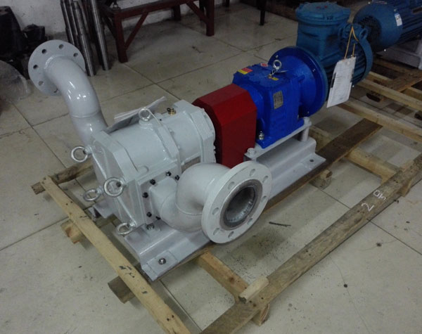 不銹鋼轉(zhuǎn)子泵生產(chǎn)廠家 不銹鋼轉(zhuǎn)子泵生產(chǎn)廠家