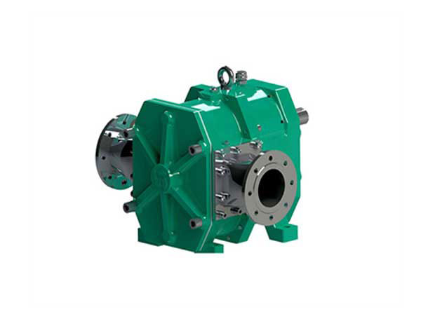 轉(zhuǎn)子泵 轉(zhuǎn)子泵