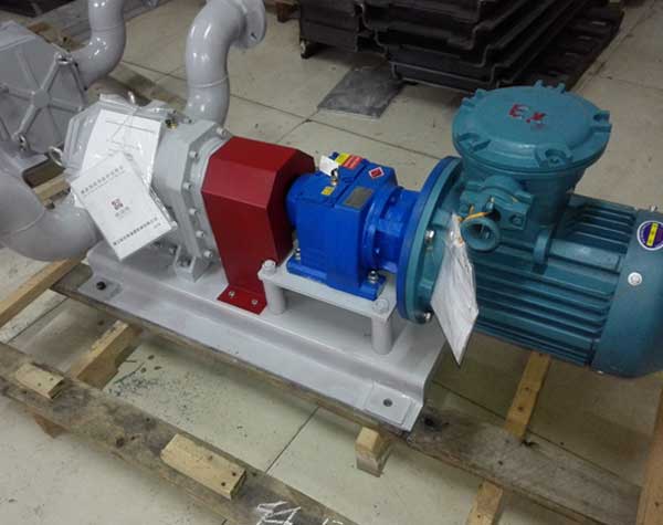 耐腐蝕轉(zhuǎn)子泵