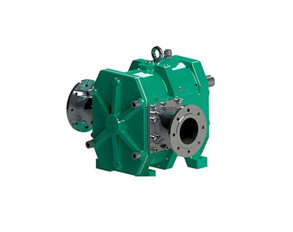 轉(zhuǎn)子泵與螺桿泵 轉(zhuǎn)子泵與螺桿泵