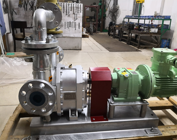 轉(zhuǎn)子泵廠家哪些值得信賴