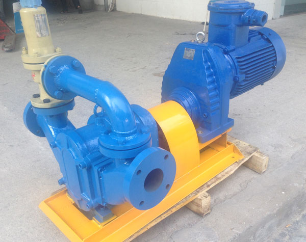 旋轉(zhuǎn)凸輪泵有哪些產(chǎn)品特點(diǎn)?工作性能怎么樣?